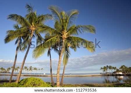 Tropical Paradise. High resolution of Hawaiian tropical beach and lagoon with beautiful palm trees, basking in the morning sun