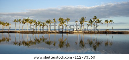 Tropical Hawaiian beach with coconut palm trees, morning blue sky and turquoise waters