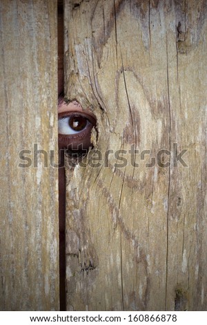 Spying through a hole in the wooden fence