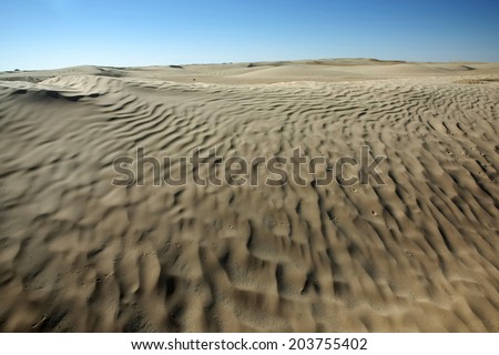Desert dunes of Sahara at the gateway to the Sahara near the town Douz.