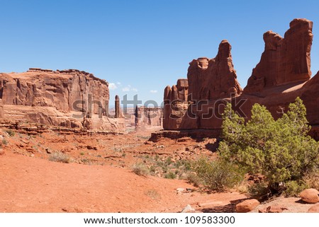 Arches national park in Utah  - USA