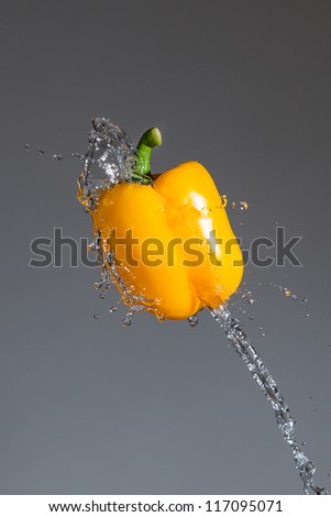 Splashing yellow pepper into water, over gray backgrounds