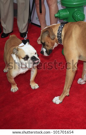 LOS ANGELES, CA - MAY 3: Dogs at the grand opening of the Pooch Hotel on May 3, 2012 in Hollywood, Los Angeles, California. The Pooch Hotel is a luxury hotel and daycare exclusively for dogs.