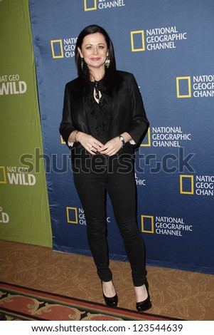 PASADENA - JAN 3: Geraldine Hughes of the show \'Killing Lincoln\' at the National Geographic Channels TCA party on January 3, 2013 at the Langham Hotel in Pasadena, California