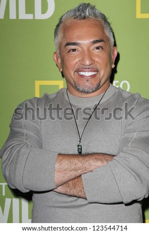PASADENA - JAN 3: Cesar Millan of the show \'Leader of the pack\' at the National Geographic Channels TCA party on January 3, 2013 at the Langham Hotel in Pasadena, California