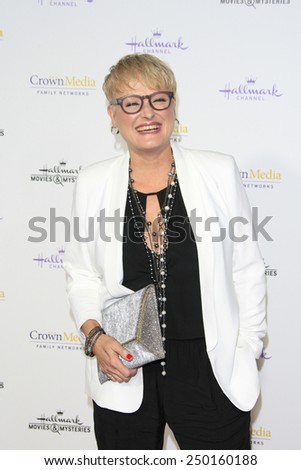 LOS ANGELES - JAN 8: Dr JJ Levenstein at the TCA Winter 2015 Event For Hallmark Channel and Hallmark Movies & Mysteries at Tournament House on January 8, 2015 in Pasadena, CA