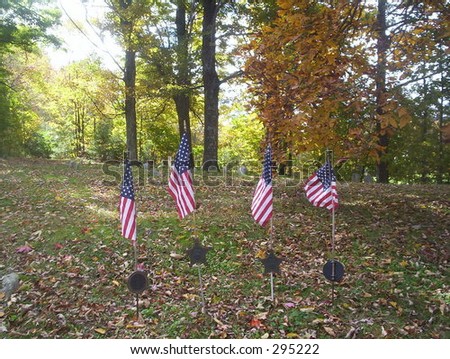 Four Veteran\'s Day flags in a rural cemetery.