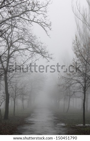 pedestrian path at foggy weather