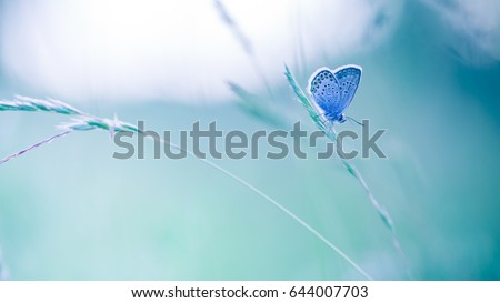 Amazing nature meadow background. Bright summer spring nature banner design. Inspirational nature closeup meadow.