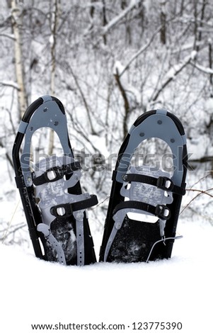 pair of snow shoes planted in the snow