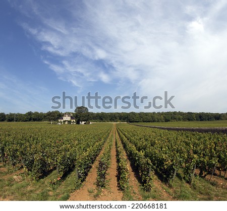 great wine vineyard in bourgogne france