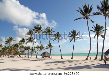 image of a large beach with tropical trees