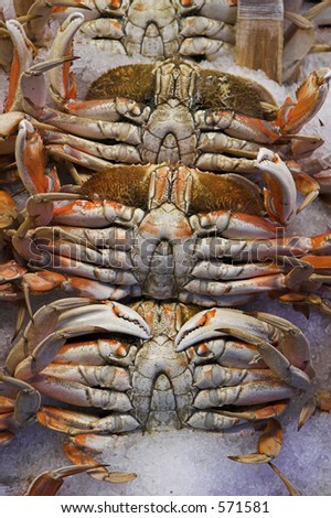 Crabs at Market