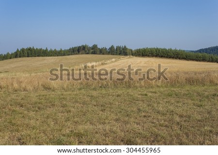 Dry landscape, hot summer without rain in the Czech Republic. Dry grass on a hot summer day.