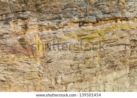 Background of rock was eroded with a live pigeon sleeping.