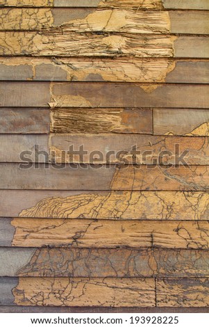 Background texture wall wood termites, which are eaten as disintegrated