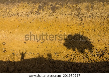 Drop shadows of trees on surface soil layer, which is a vast land.