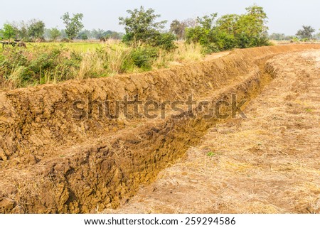 Large trench dug in the ground rice Thailand to store water for farming.