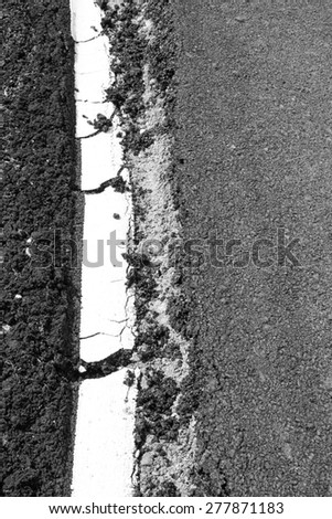Background texture cracked asphalt road close to the long white line on the road side.