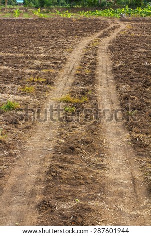 Dirt tracks for the wheels of vehicles for agriculture to banana plantations.