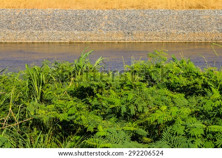 Background stone wall to prevent water erosion, which has grass, weeds the foreground.
