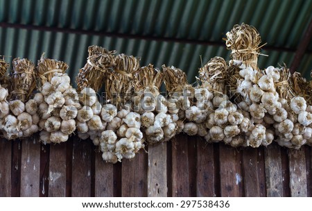 Garlic tied together a bunch hung on many walls, fences, wood, tin roof as a backdrop.