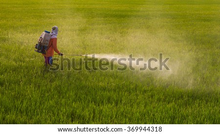 Thailand Man farmer to spray herbicides or chemical fertilizers on the fields green rice growing.