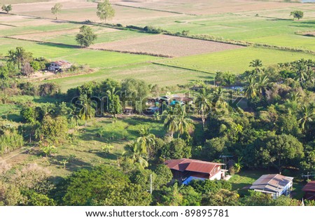 High angle view of rural areas. View of the rural areas where rice farming in Thailand.