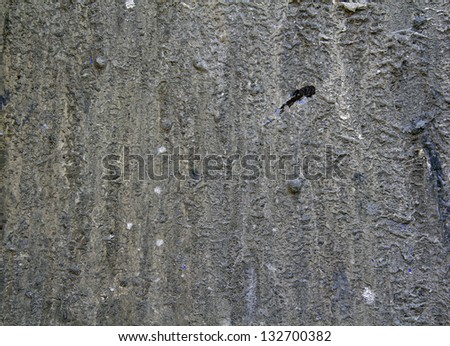 Cement wall with log drips of once wet cement and mortar