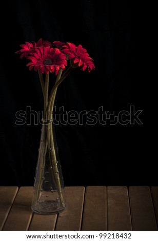 Red flowers in a vase