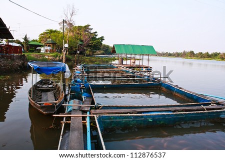 River Thailand Raft Bamboo Farm Fish