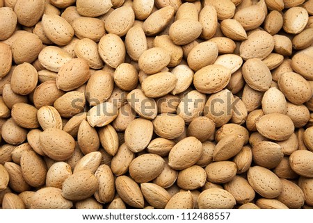 harvested almonds of the almond trees