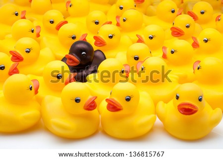 yellow ducks of gum and black