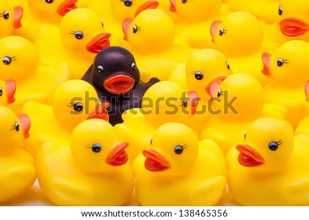 yellow ducks of gum and one black