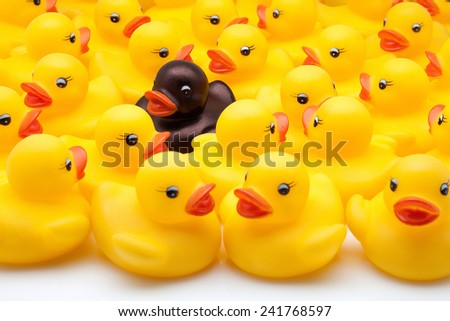 yellow ducks of gum and black