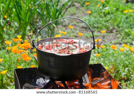 cooking crabs in a pot over a fire in the nature