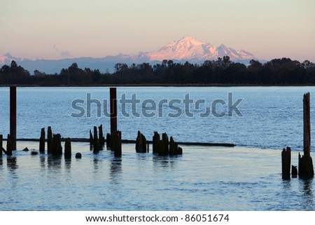 Old pilings on the edge of the Fraser River with Washington State's Mount Baker, a dormant volcano, in the background. Near Vancouver, British Columbia, Canada.