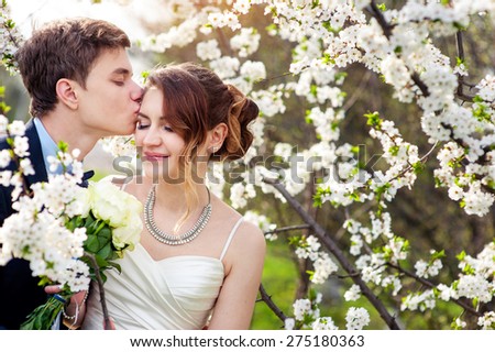 groom kisses the bride on a background of blooming trees.