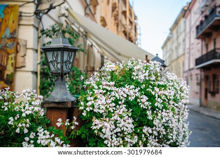 Flowers on the streets of Lviv.