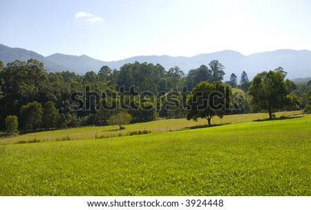  the Promised Land near Bellingen 