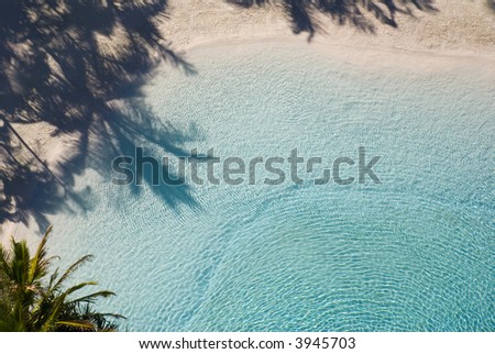 Shadows from palm trees on white sand by cool crystal clear water - paradise.