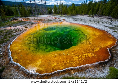 A colorful hot spring named Morning Glory Pool in Yellowstone National Park