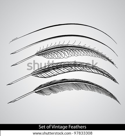 Vintage Feather