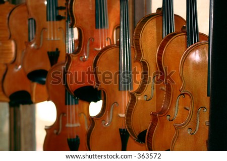 violin maker\'s studio