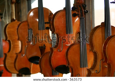 violin maker's studio