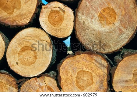 log pile
