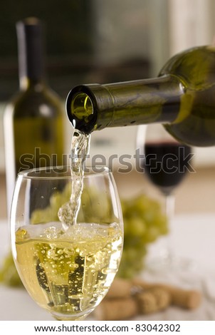 Wine composition: vine and bottle of wine
