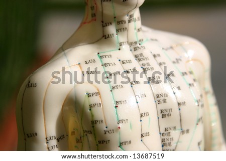 acupuncture dummy