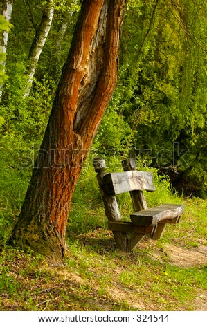 A bench in the forest.