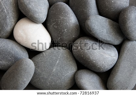 White pebble among grey ones. Out in a crowd concept. Zen-like design concept